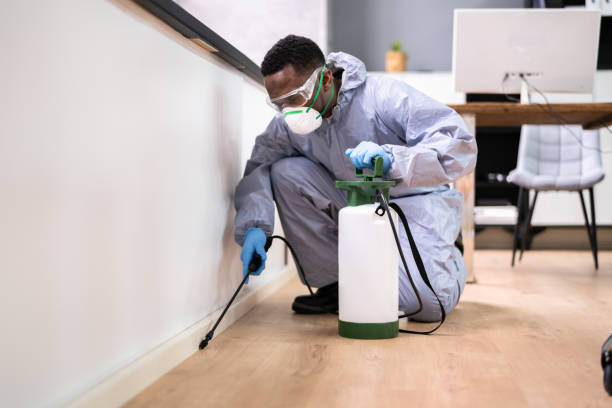 Real Estate Pest Inspections in Olla, LA